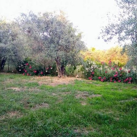 Irinis Cottage Καλά Νερά Εξωτερικό φωτογραφία