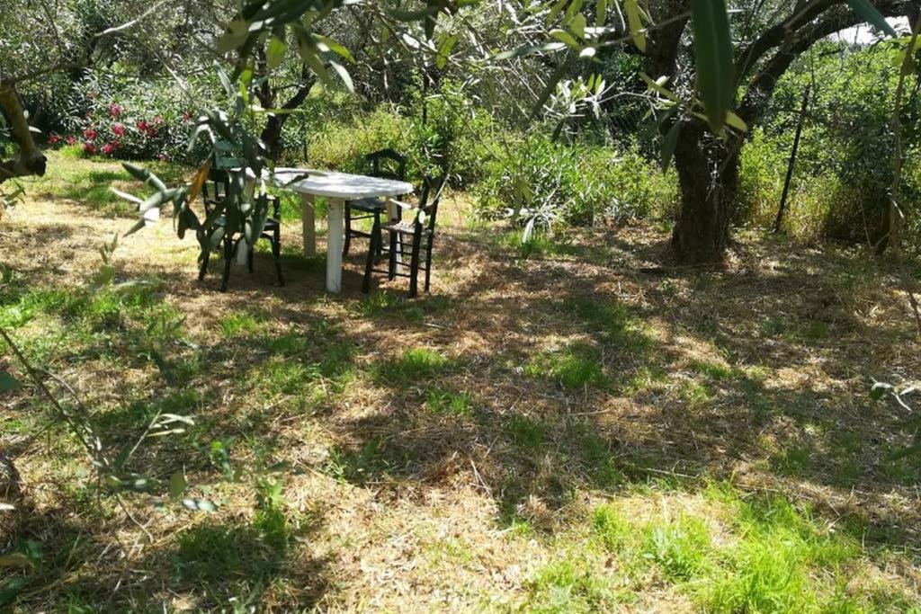 Irinis Cottage Καλά Νερά Εξωτερικό φωτογραφία