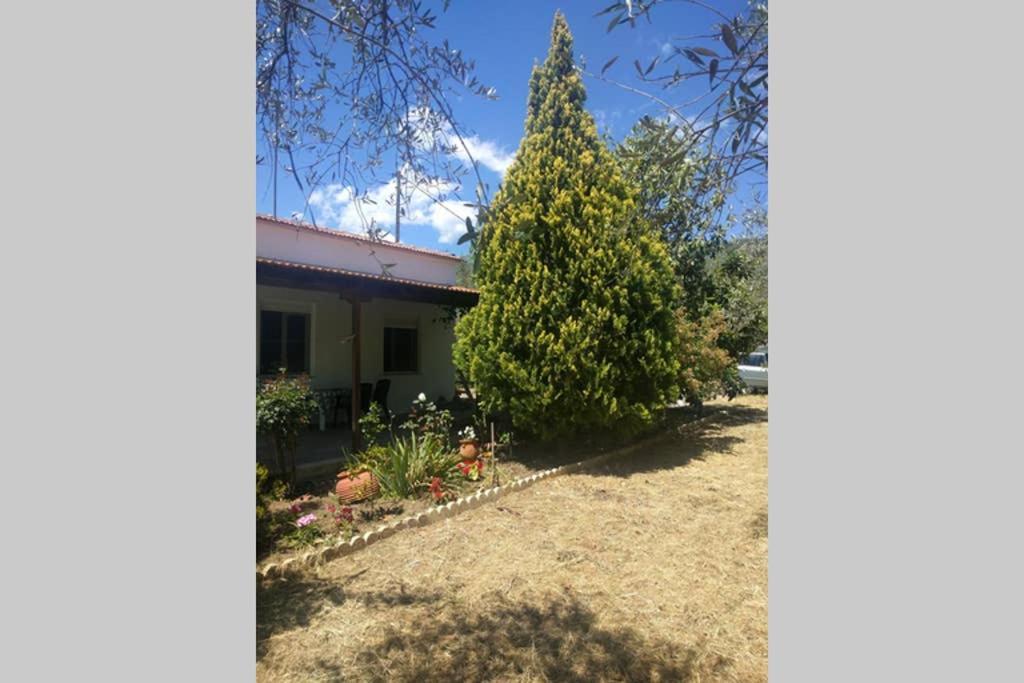 Irinis Cottage Καλά Νερά Εξωτερικό φωτογραφία