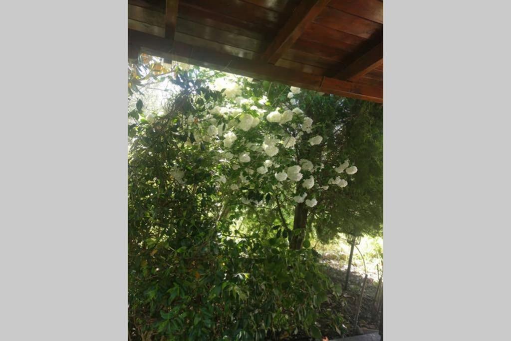 Irinis Cottage Καλά Νερά Εξωτερικό φωτογραφία