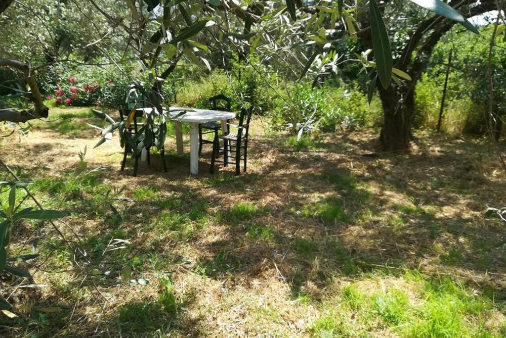 Irinis Cottage Καλά Νερά Εξωτερικό φωτογραφία